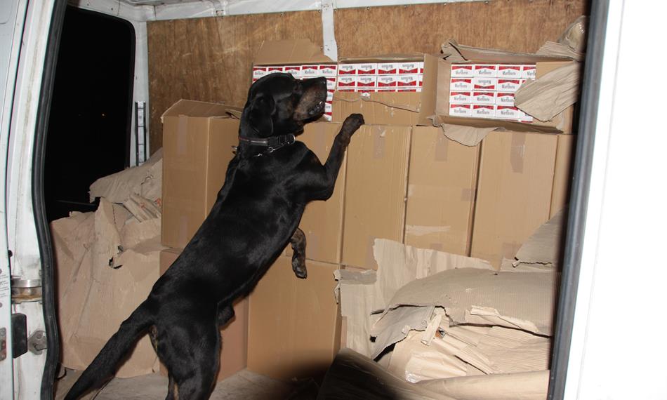 2010-11-4-1238cigarety PL 6.JPG